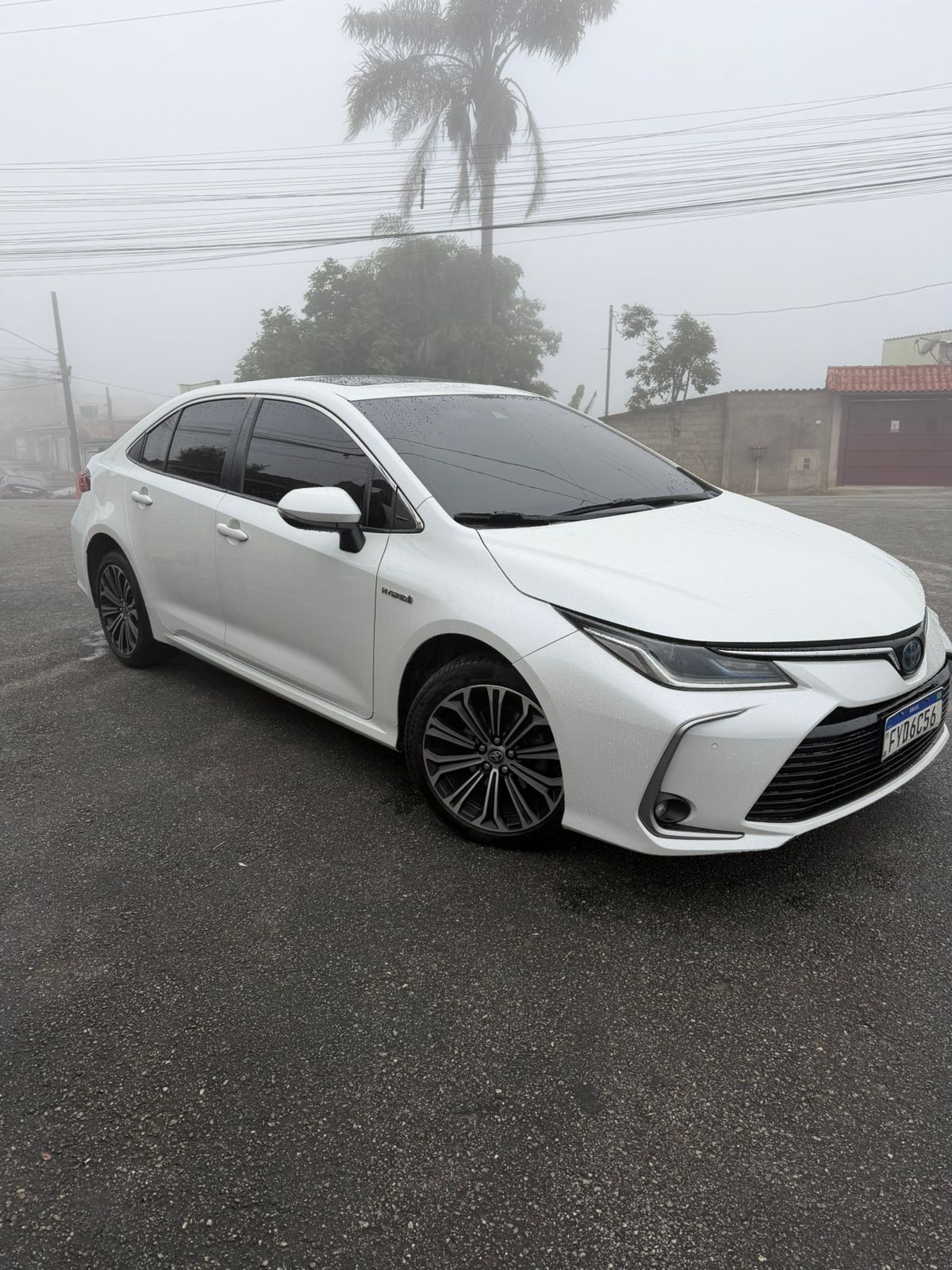 COROLLA ALTIS HIBRIDO